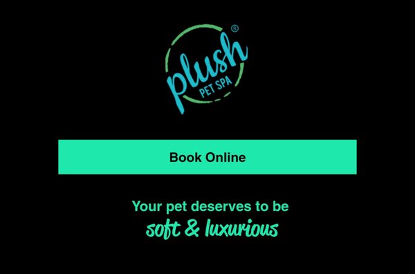 Mobile Dog & Cat Grooming - We come to you! One on One with your pet!
We accept credit cards, ApplePay, Zelle, CashApp, Checks and Cash. Text or call 813-553-PAWS Mobile Dog & Cat Grooming - We come to you! One on One with your pet!
We accept credit cards, ApplePay, Zelle, CashApp, Checks and Cash. Text or call 813-553-PAWS