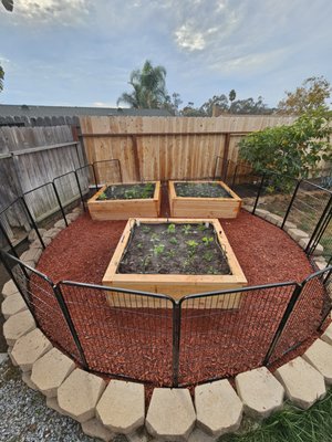 Lake Forest Garden Bed - Project in Lake Forest. Clients took down a tree a long time ago, but the stump is still there. That makes it hard to put plants directly in the ground, so we offer them a solution, such as garden beds and vegetables.
Now they use the space to produce their own food.