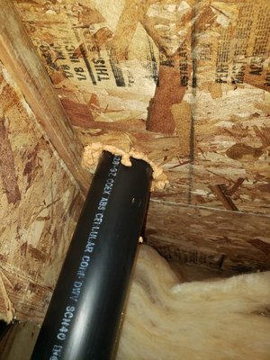 Rodent Damage Repair - Rodents are a world wide problem and if proper pest management practices are not followed by you or one of your neighbors it can become your problem as well. Most people don’t know they have a rodent problem until it’s to late. Your attic and crawlspace are a safe place for them. It is warm and they are protected from natural predators. Rodents are know to carry diseases and viruses that are harmful to humans. When dealing with them proper Protective Equipment should be used. If this a challenge you are dealing with, let us help you. We can restore your crawlspace and attic to better then new. We will protect your home during the process and make sure the contaminated areas are sanitized.