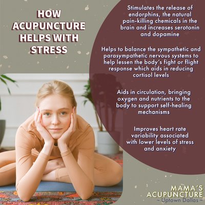 How ACUPUNCTURE helps with stress. - How acupuncture helps with stress!

- Acupuncture stimulates the release of endorphins, the natural pain-killing chemicals in the brain and increases serotonin and dopamine
- Acupuncture helps to balance the sympathetic and parasympathetic nervous systems to hep lessen the body’s fight or flight response which aids in reducing cortisol levels
- Acupuncture aids in circulation, bringing oxygen and nutrients to the body to support self-healing mechanisms
- Acupuncture improves heart rate variability associated with lower levels of stress and anxiety