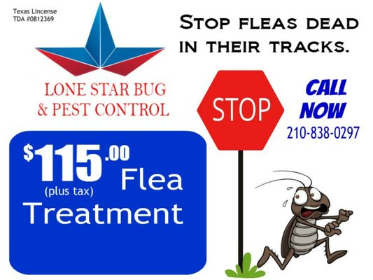 affordable Pest Control - we have affordable pest control with the best prices around and we do a good job at a good price