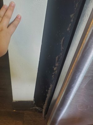 move-in clean [5/31] #Sublease #DownTownMadison - Kitchen Move-In Clean - - It was a great clean!