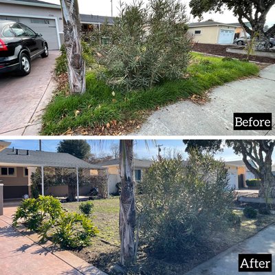 Property Cleanup - Removed overgrown weeds and cleaned up all debris.