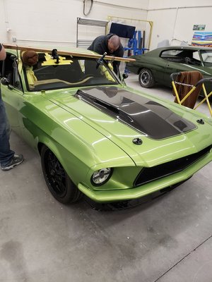Custom Mustang - Enjoyed getting creative on this beautiful car! Custom Mustang - Enjoyed getting creative on this beautiful car!