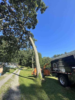 Tree Trimming - Call Us for Proper Tree Trimming. To maintain your tree’s health, promote growth, and maintain its natural appearance, tree trimming and pruning with All Season Tree Service LLC is essential. However, do-it-yourselfers frequently trim incorrectly, which can seriously harm your prized green asset in Chattanooga, TN. Tree biology knowledge, the ability to spot plant problems, and the ability to efficiently remove or minimize imperfections, are necessary for this science without impairing the tree’s growth or inflicting permanent harm. Tree Trimming - Call Us for Proper Tree Trimming. To maintain your tree’s health, promote growth, and maintain its natural appearance, tree trimming and pruning with All Season Tree Service LLC is essential. However, do-it-yourselfers frequently trim incorrectly, which can seriously harm your prized green asset in Chattanooga, TN. Tree biology knowledge, the ability to spot plant problems, and the ability to efficiently remove or minimize imperfections, are necessary for this science without impairing the tree’s growth or inflicting permanent harm.
