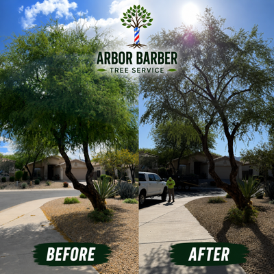 Tree Trimming - Arbor Barber Tree Service provides expert tree trimming to keep your property safe, beautiful, and healthy all year round. Our skilled team understands the unique needs of each tree and uses the latest techniques to promote strong growth, prevent disease, and enhance curb appeal. Whether you need routine maintenance or specialized care for overgrown or hazardous branches, you can count on Arbor Barber Tree Service for reliable, professional results and outstanding customer service. Let us help your trees thrive! Tree Trimming - Arbor Barber Tree Service provides expert tree trimming to keep your property safe, beautiful, and healthy all year round. Our skilled team understands the unique needs of each tree and uses the latest techniques to promote strong growth, prevent disease, and enhance curb appeal. Whether you need routine maintenance or specialized care for overgrown or hazardous branches, you can count on Arbor Barber Tree Service for reliable, professional results and outstanding customer service. Let us help your trees thrive!