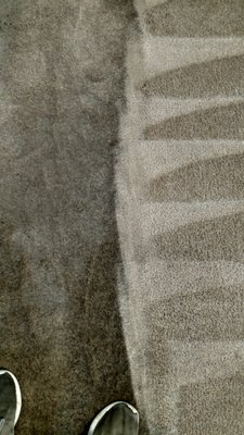Carpet Cleaning and more - Professional Carpet and Cleaning Services is ready to take care of all of your carpet cleaning needs including carpet cleaning, area rug cleaning, upholstery cleaning, cement, stone, tile and grout cleaning and more.