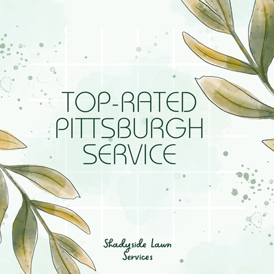 Shadyside Lawn Services Sod Installation team - Pittsburgh, PA area Sod Installation specialists Shadyside Lawn Services Sod Installation team - Pittsburgh, PA area Sod Installation specialists