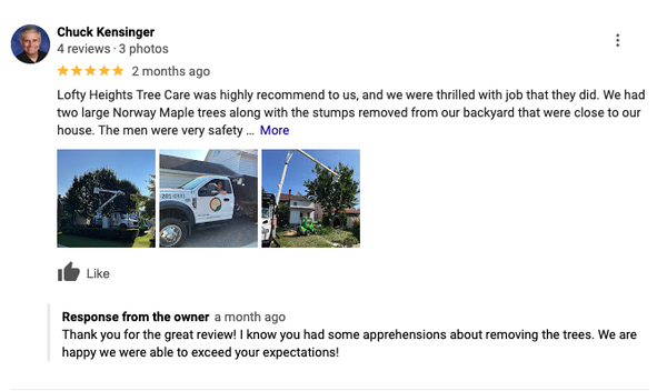 See what our customers are saying - At Lofty Heights, we value our customers and provide top notch service. Give us a call today for all your tree removal needs! See what our customers are saying - At Lofty Heights, we value our customers and provide top notch service. Give us a call today for all your tree removal needs!