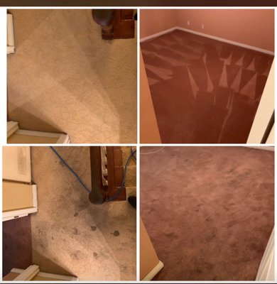 Cleaning Transformation - Some of the examples of our transformative  results