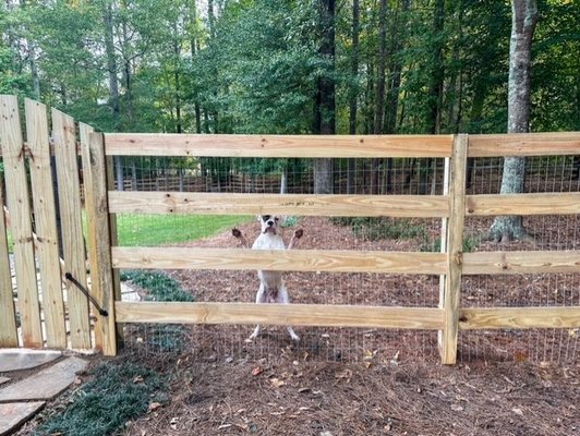 Keeping dogs safe from digging out of Above Ground Fencing - This project was for 1 Acre of Hidden Fence wire to provide containment for a very active Boxer that was digging out of his Wood Fence. Happy customer and Happy PUP! Keeping dogs safe from digging out of Above Ground Fencing - This project was for 1 Acre of Hidden Fence wire to provide containment for a very active Boxer that was digging out of his Wood Fence. Happy customer and Happy PUP!