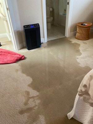Water Damage - We were called to this home due to an upstairs bathroom water line break. Water Damage - We were called to this home due to an upstairs bathroom water line break.