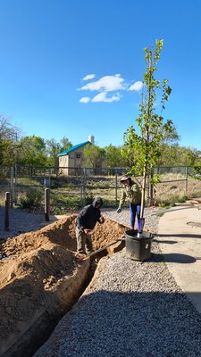 Tree Planting Job - One tree, thoughtfully placed, can change everything 🌿
We planted this one yesterday with long-term shade and site flow in mind—and it’s always rewarding to see how these small decisions add real value over time.
If you’re considering trees, landscaping, or outdoor upgrades, we offer site visits and tailored recommendations.
Sol Works Construction 🌞
Message us here or call 505-395-8513 Tree Planting Job - One tree, thoughtfully placed, can change everything 🌿
We planted this one yesterday with long-term shade and site flow in mind—and it’s always rewarding to see how these small decisions add real value over time.
If you’re considering trees, landscaping, or outdoor upgrades, we offer site visits and tailored recommendations.
Sol Works Construction 🌞
Message us here or call 505-395-8513