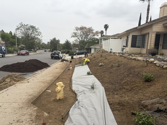 Landscape - We specialize in designing your garden, laying gravel, new grass, mulch, and plants to make your garden look great. My team focuses on doing our job professionally.