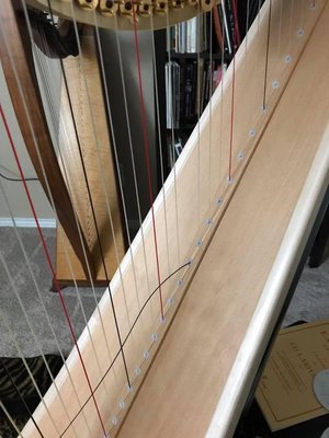 Restringing Harps - We sell Bow Brand, Vanderbilt and Dusty String Harp strings for lever and pedal harps!
We also string harps! Restringing Harps - We sell Bow Brand, Vanderbilt and Dusty String Harp strings for lever and pedal harps!
We also string harps!