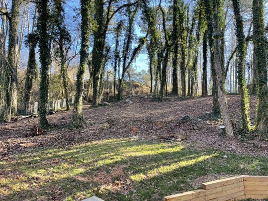 Timber retaining walls - Our customers went from no usable yard to a beautiful yard in one week!