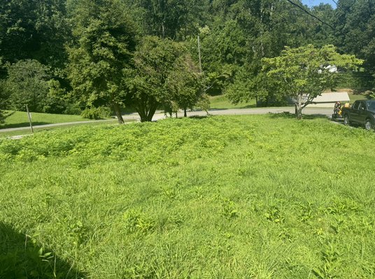Lawn care - Two different clients . One is I maintain and other is ones I transformed from over grown to looking new Lawn care - Two different clients . One is I maintain and other is ones I transformed from over grown to looking new