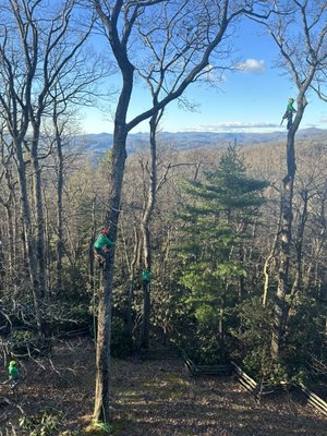 Crane work - This is a couple of the recent projects trimming trees to improve the view of the mountain also removing some trees with our 38ton crane. Crane work - This is a couple of the recent projects trimming trees to improve the view of the mountain also removing some trees with our 38ton crane.