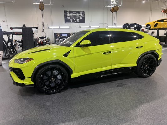 Window Tint on Lamborghini Urus - On this beautiful Lamborghini Urus we did a 20% with our Ceramic film all around excluding the windshield, the customer happy we gave him a nice and clean job. Window Tint on Lamborghini Urus - On this beautiful Lamborghini Urus we did a 20% with our Ceramic film all around excluding the windshield, the customer happy we gave him a nice and clean job.