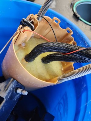 Fuel contamination corection - This truck had Def in the diesel and required a full fuel system replacement from fuel tank to injectors. Fuel contamination corection - This truck had Def in the diesel and required a full fuel system replacement from fuel tank to injectors.