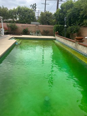 Green pool - It’s was really bad
I did my best
It’s done Green pool - It’s was really bad
I did my best
It’s done