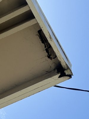 Tailored Solutions - We will take care of your termite issues!