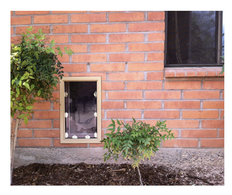 Custom Build - We can custom build a doggie door to your specific needs. This includes for Custom French Doors, A JGM dog door that is made to fit into an existing doggie door opening, and specific needs for particular pets other than the common dog or cat. We do not build custom ramps, or any sort of enclosures. We only manufacture pet doors. Custom Build - We can custom build a doggie door to your specific needs. This includes for Custom French Doors, A JGM dog door that is made to fit into an existing doggie door opening, and specific needs for particular pets other than the common dog or cat. We do not build custom ramps, or any sort of enclosures. We only manufacture pet doors.
