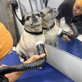 Just another relaxing day at the spa!