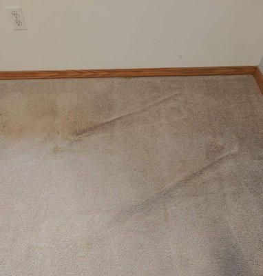 Toddlers room stains before & after - After several attempts to clean these stains by a frustrated Mom, we got them out with a kid friendly, eco-safe solution! Toddlers room stains before & after - After several attempts to clean these stains by a frustrated Mom, we got them out with a kid friendly, eco-safe solution!