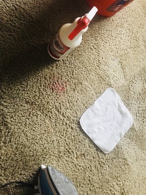 Stain Removal - Stain removal requires additional techniques and solutions. There are many types of stains including vine, paint, ink, juice, oil. Stain Removal - Stain removal requires additional techniques and solutions. There are many types of stains including vine, paint, ink, juice, oil.