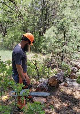 No job is too small or too big! - We been working hard and still doing our best. This is a tough job but highly rewarding and always a pleasure to do what we can to help our New Mexico residents. So please remember if you need any tree removals, pruning, clear cutting or any kind tree work done on your property call us here at all All Around Forestry LLC! No job is too small or too big! - We been working hard and still doing our best. This is a tough job but highly rewarding and always a pleasure to do what we can to help our New Mexico residents. So please remember if you need any tree removals, pruning, clear cutting or any kind tree work done on your property call us here at all All Around Forestry LLC!
