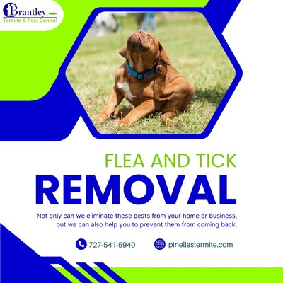 Flea and Tick Removal - Fleas or ticks in the house? Don’t worry! Brantley Termite & Pest Control is ready to help. Our technicians are among the best you can find in the entire state. Not only can we eliminate these pests from your home or business, but we can also help you to prevent them from coming back.