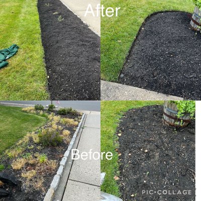 Mulch bed - The process of doing a mulch bed is clearing out all leaves and other debris in the bed. Next we start on the edge and redefine it to make it look neat. Then we evenly spread 1.5 - 2 inch of triple shredded mulch of the color of your choice Mulch bed - The process of doing a mulch bed is clearing out all leaves and other debris in the bed. Next we start on the edge and redefine it to make it look neat. Then we evenly spread 1.5 - 2 inch of triple shredded mulch of the color of your choice