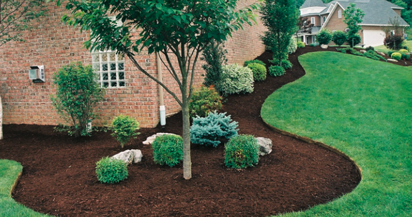 Mulching - First and foremost, mulch just looks good. Coming in a variety of colors, from rich browns to peppery reds, the ground covering adds contrast and visual interest to landscapes. A freshly-mulched garden has even been shown to increase property value. Call us today! Mulching - First and foremost, mulch just looks good. Coming in a variety of colors, from rich browns to peppery reds, the ground covering adds contrast and visual interest to landscapes. A freshly-mulched garden has even been shown to increase property value. Call us today!