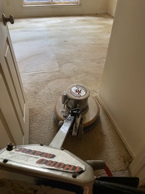 Carpet cleaning . No carpet is too dirty ! - This carpet cleaning was carried out in an apartment that was in bad shape after years of neglect . We spent 2 hours taking off layers of dirt and stain . It came out looking good as new . The client was overjoyed and offered a $50 tip.