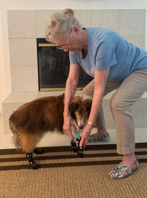 Check out Nancy G's Improved Mobility - Nancy had to tend to her dogs' paws, all 4 of them, a couple of times a day. This was a lot of bending. Nancy had no problems because of the exercising with my classes Check out Nancy G's Improved Mobility - Nancy had to tend to her dogs' paws, all 4 of them, a couple of times a day. This was a lot of bending. Nancy had no problems because of the exercising with my classes