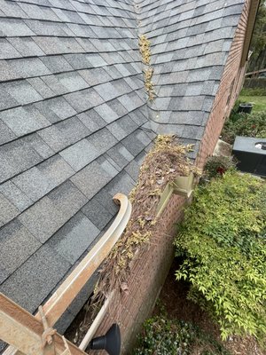 Mary’s Gutter Cleaning - Gutter Cleaning & Full Flush – Residential
We completed a full gutter cleaning service for Mary who lives in the Atlanta metro area. The gutters had accumulated heavy debris over time and were in need of serious attention. Our scope of work included:
• Complete debris removal from all gutters
• Full flush of gutters and downspouts to restore proper water flow
• Inspection of gutters for any areas of concern
This was a heavily neglected system that required thorough hands-on work to get flowing properly again. We left the property clean and the gutters functioning as they should. The homeowner was satisfied with the results and the care taken on the job.
At Total Transformation Roofing, no job is too small. We take the same pride in a gutter cleaning as we do in a full roof replacement — because protecting your home starts at the top. Free inspections available. Call Tara, Owner, at 470-933-1800. Mary’s Gutter Cleaning - Gutter Cleaning & Full Flush – Residential
We completed a full gutter cleaning service for Mary who lives in the Atlanta metro area. The gutters had accumulated heavy debris over time and were in need of serious attention. Our scope of work included:
• Complete debris removal from all gutters
• Full flush of gutters and downspouts to restore proper water flow
• Inspection of gutters for any areas of concern
This was a heavily neglected system that required thorough hands-on work to get flowing properly again. We left the property clean and the gutters functioning as they should. The homeowner was satisfied with the results and the care taken on the job.
At Total Transformation Roofing, no job is too small. We take the same pride in a gutter cleaning as we do in a full roof replacement — because protecting your home starts at the top. Free inspections available. Call Tara, Owner, at 470-933-1800.