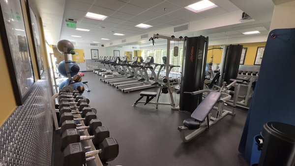 Commercial Gym equipment upgrades - This remodel, showcases and upgraded gym
New rubber flooring
New upholstery
And repaired Cardio exercise equipment Commercial Gym equipment upgrades - This remodel, showcases and upgraded gym
New rubber flooring
New upholstery
And repaired Cardio exercise equipment