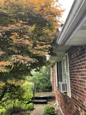 Exterior Service - This homeowner wanted to spruce up the outside of their home. We washed windows, cleaned gutters and even trimmed back branches from the roofline, keeping their home safe from critters! Exterior Service - This homeowner wanted to spruce up the outside of their home. We washed windows, cleaned gutters and even trimmed back branches from the roofline, keeping their home safe from critters!