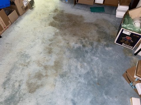 Carpet cleaning and stain removal - This was a customers carpet, he had no hope for the carpet as it was years of the pets using it as a pee pad! He explained that he had other cleaners try on the stain however there was no luck until our system took over! Carpet cleaning and stain removal - This was a customers carpet, he had no hope for the carpet as it was years of the pets using it as a pee pad! He explained that he had other cleaners try on the stain however there was no luck until our system took over!