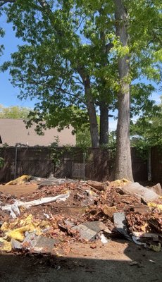 Before and after photos of a shed removal - This was a shed removal and it took me 1 day to remove all the trash and junk from the property Before and after photos of a shed removal - This was a shed removal and it took me 1 day to remove all the trash and junk from the property