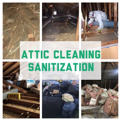 Attic and Crawl Space Cleaning and Sanitization - Attics can become contaminated if there is excessive moisture, if there are gaps and holes in and around the roof, or if rodents and wildlife have infested the space. Rodents, birds, raccoons, squirrels, and other critters love insulation because its warm and easy to build a nest in. Unfortunately, this results in your insulation becoming contaminated. Rodent and wildlife urine, droppings, carcasses, and other waste accumulate quickly. Contaminated insulation can lead to growth of bacteria, viruses, mold, mildew, and viruses. Contaminated insulation leads to an accumulation of moisture and the growth of bacteria, mold, mildew, and will eventually lead to wood rot and roof damage. Additionally, the contaminated air holds harmful microorganisms (mold, mildew, bacteria, viruses) which can leak into your home or enter your home’s HVAC system. If this air is carried throughout your home, it can exacerbate allergies, asthma and respiratory issues, and be hazardous to your overall health and wellbeing.