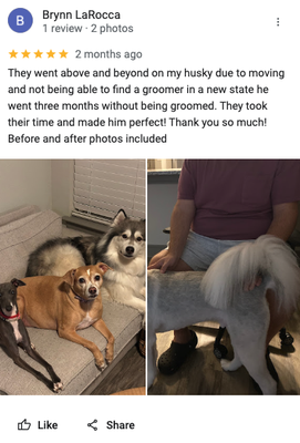 Check Out Some Of Our Google Reviews - With years of experience in the pet grooming industry, out team at Buddy Pet Mobile Grooming. is dedicated to providing exceptional services that ensure your pets are happy and beautiful.

Our fully equipped mobile grooming van is designed to provide a comfortable and stress-free environment for your pets. Here’s what sets our van apart:



- Modern Equipment: Our van is outfitted with the latest grooming tools and technology to ensure your pet receives the best care.

- Comfortable Environment: Climate-controlled interior to keep your pet comfortable during all seasons.

- Hygienic Standards: We maintain the highest hygiene standards, with regular cleaning and sanitizing to ensure a safe environment for your pet.