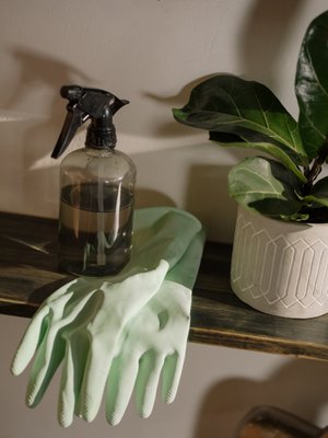 I Can Organize Your Apartment - If your house is a mess I can deep clean, but I can also organize. Let me refresh your apartment and make your home feel brand new! I Can Organize Your Apartment - If your house is a mess I can deep clean, but I can also organize. Let me refresh your apartment and make your home feel brand new!