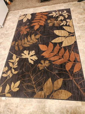 Stinky Area Rug - Was asked to clean an area rug that has been under the dining table that the family dog had multiple accidents on. Stinky Area Rug - Was asked to clean an area rug that has been under the dining table that the family dog had multiple accidents on.