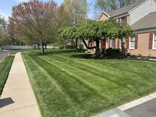 Lawn Mowing - Weekly / Bi weekly Lawn Mowing services.