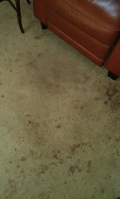 Before and Afters! - Check out these before and afters! Before and Afters! - Check out these before and afters!