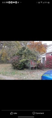 Finding the rest of their house. - The growth had taken over their house and life, so Dawson's Landscape & Lawncare came in to get the house back. Finding the rest of their house. - The growth had taken over their house and life, so Dawson's Landscape & Lawncare came in to get the house back.