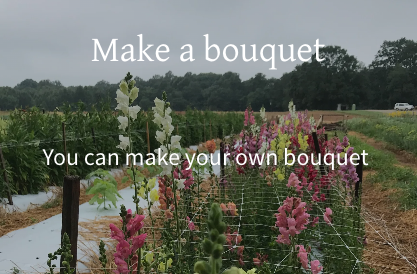 Make Your Own Bouquet - Make Your Own Bouquet Make Your Own Bouquet - Make Your Own Bouquet