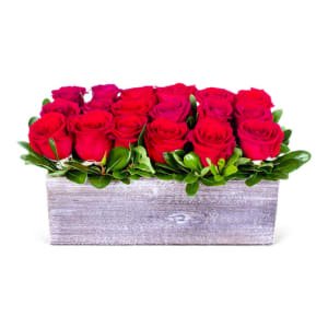 Valentines Day Specials - This Valentine's Day, shower your special someone with the timeless language of flowers. Our exquisite collection of Valentine's Day blooms is designed to capture the essence of your love. Whether you're celebrating a new romance or cherishing years of togetherness, our handpicked floral arrangements are sure to convey your deepest emotions. Valentines Day Specials - This Valentine's Day, shower your special someone with the timeless language of flowers. Our exquisite collection of Valentine's Day blooms is designed to capture the essence of your love. Whether you're celebrating a new romance or cherishing years of togetherness, our handpicked floral arrangements are sure to convey your deepest emotions.